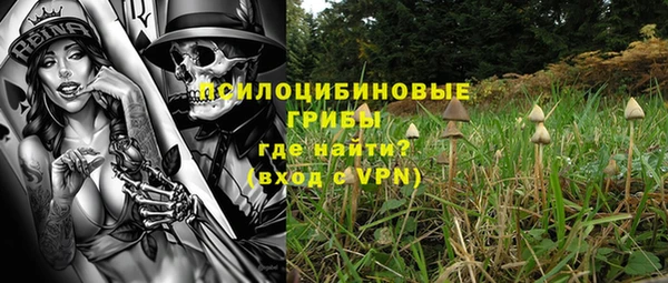 хмурый Белокуриха