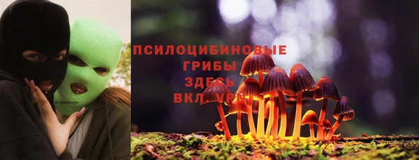 хмурый Белокуриха