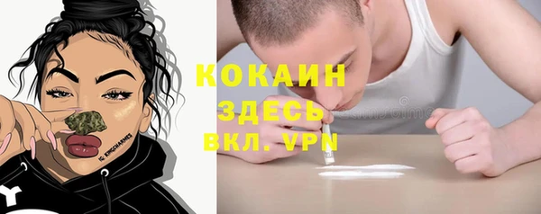 хмурый Белокуриха