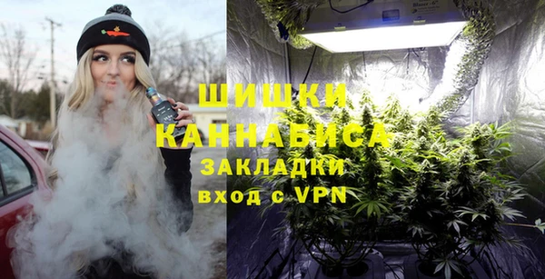 хмурый Белокуриха