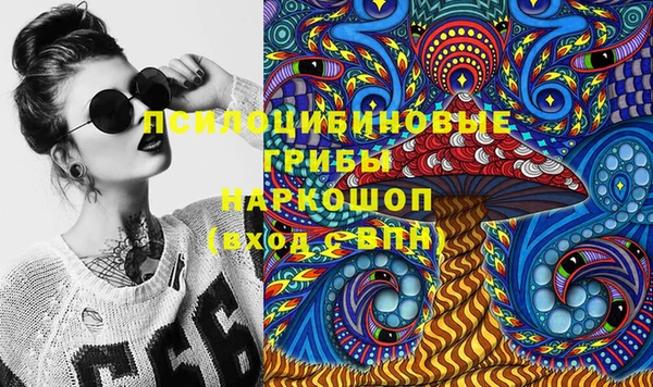хмурый Белокуриха