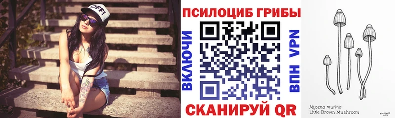 Галлюциногенные грибы GOLDEN TEACHER  магазин продажи   Воскресенск 